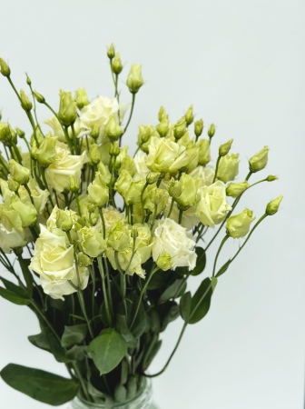 Эустома (махровая)